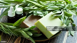 第一次去按摩店？别慌！老司机教你如何优雅避坑，享受全身放松！ 封面